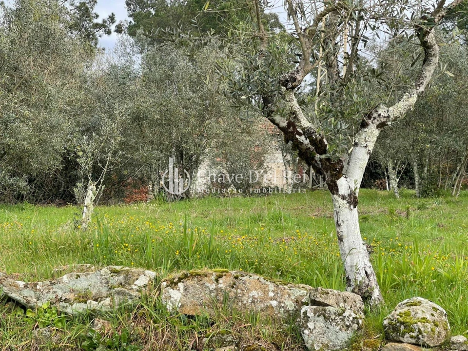 Terreno Misto para Venda em Espinho Foto 2