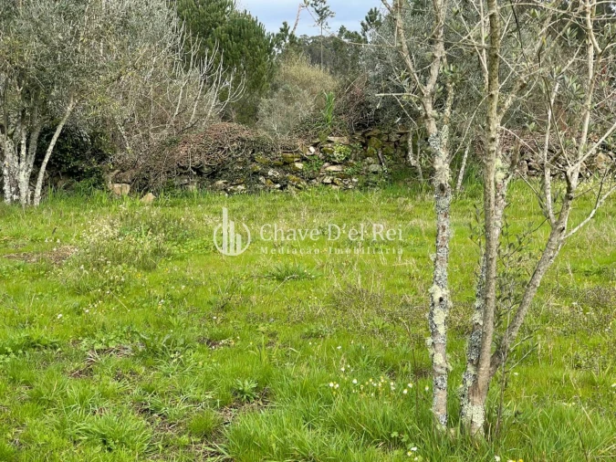 Terreno Misto para Venda em Espinho Foto 6