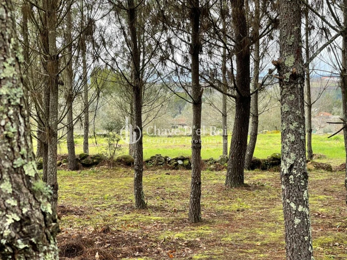 Terreno Misto para Venda em Espinho Foto 5