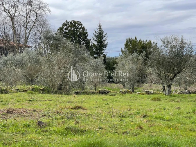 Terreno Misto para Venda em Espinho Foto 1