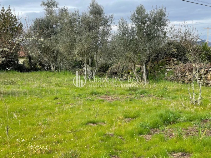 Terreno Misto para Venda em Espinho Foto 7