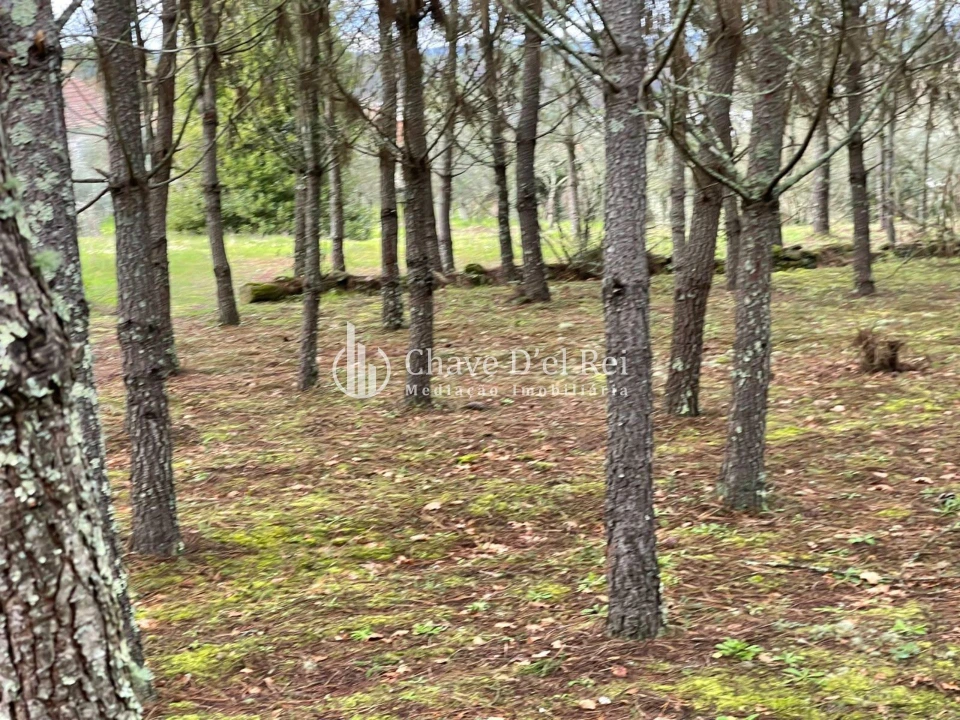Terreno Misto para Venda em Espinho Foto 9