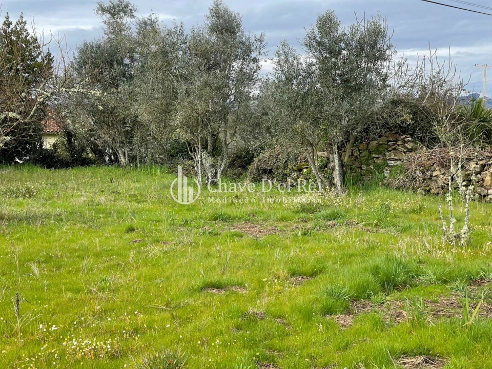 Terreno Misto para Venda em Espinho Foto 7