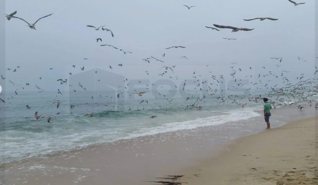Apartamento T2 para Venda em Praia de Mira Foto 16