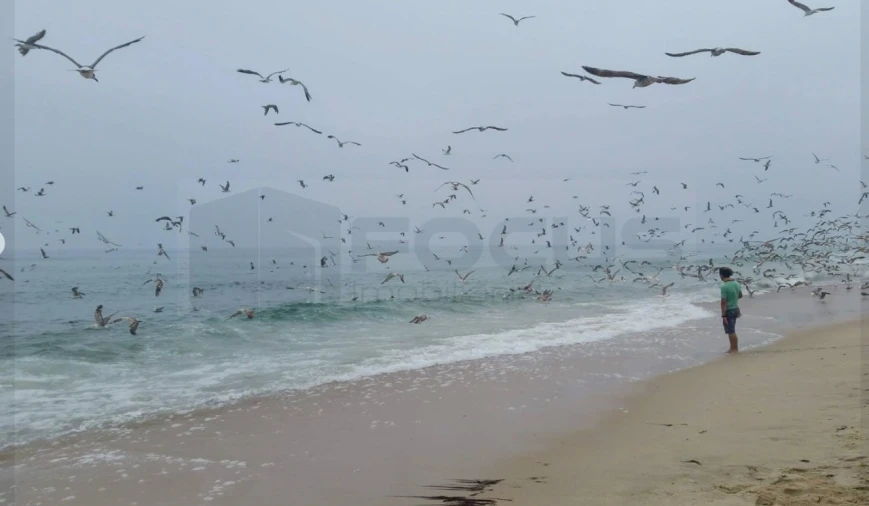 Apartamento T2 para Venda em Praia de Mira Foto 16