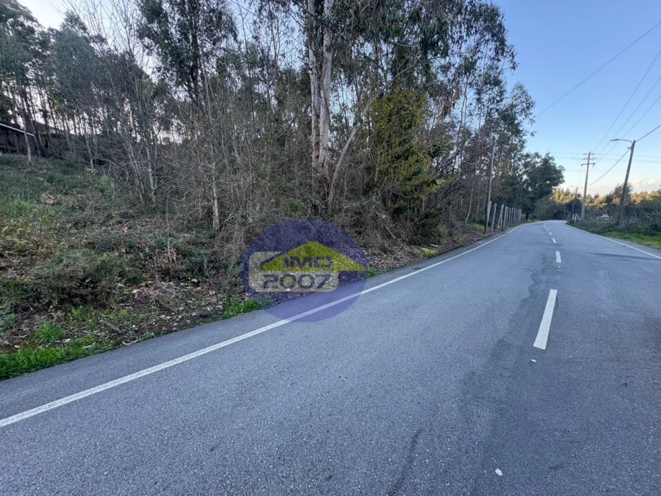 Terreno Comércio / Armazém para Venda em Argoncilhe Foto 6
