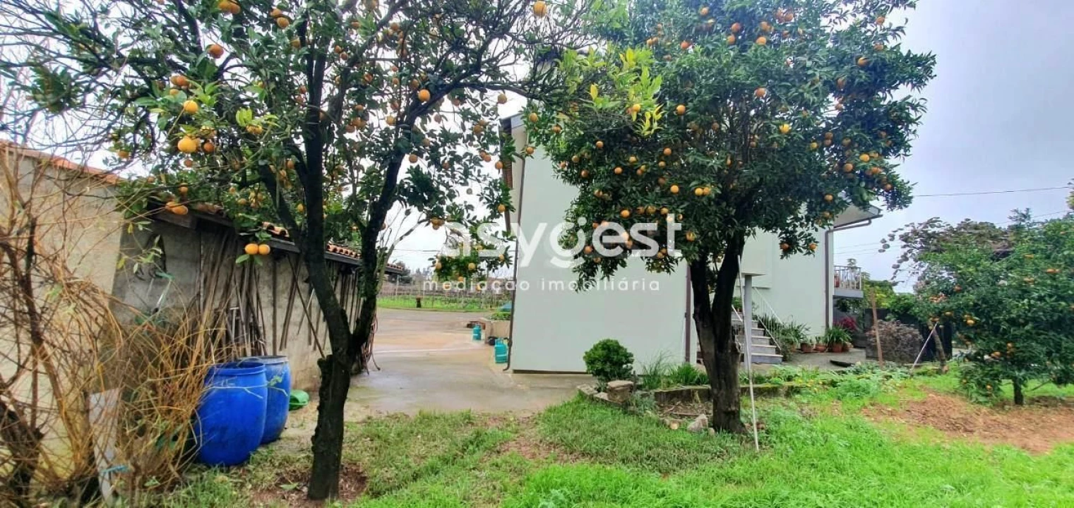 Moradia T4 para Venda em Albergaria-A-Velha e Valmaior Foto 36