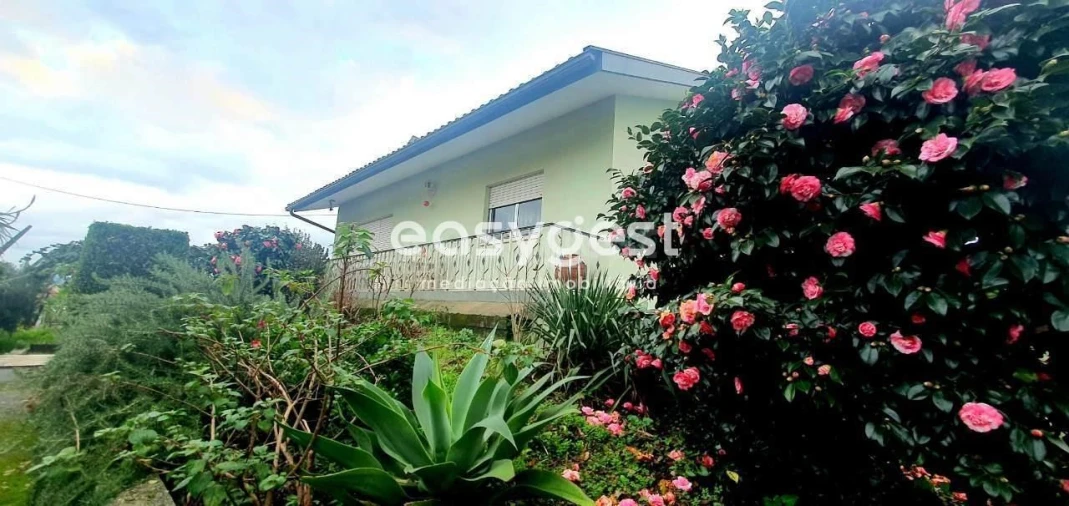 Moradia T4 para Venda em Albergaria-A-Velha e Valmaior Foto 6