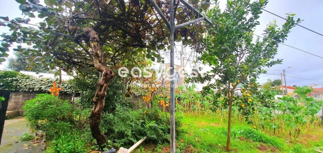 Moradia T4 para Venda em Albergaria-A-Velha e Valmaior Foto 31