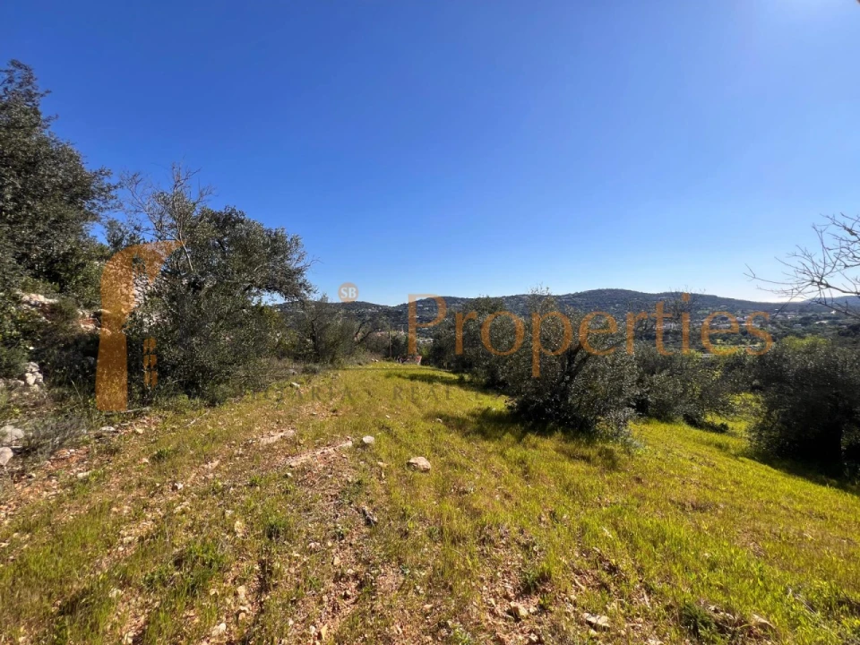 Terreno para Venda em São Brás de Alportel Foto 9