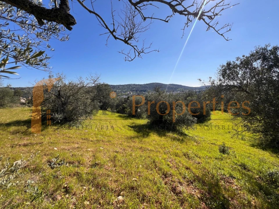 Terreno para Venda em São Brás de Alportel Foto 11