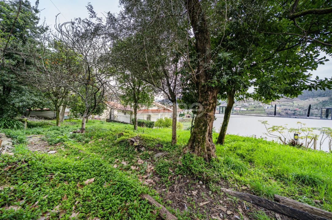 Moradia T2 para Venda em Mosteiro Foto 15