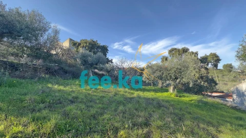 Terreno para Venda em Cebolais de Cima e Retaxo