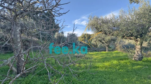 Terreno para Venda em Cebolais de Cima e Retaxo