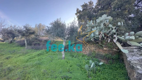 Terreno para Venda em Cebolais de Cima e Retaxo