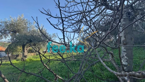 Terreno para Venda em Cebolais de Cima e Retaxo