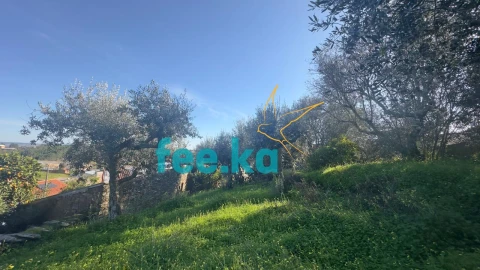 Terreno para Venda em Cebolais de Cima e Retaxo