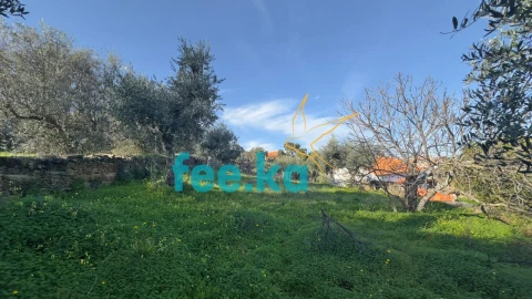 Terreno para Venda em Cebolais de Cima e Retaxo