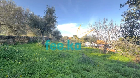 Terreno para Venda em Cebolais de Cima e Retaxo