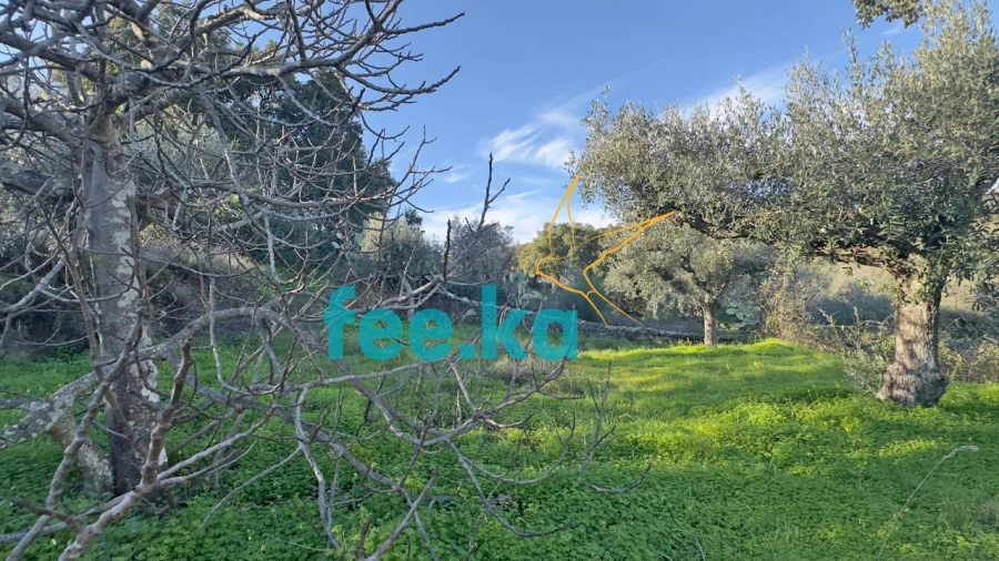 Terreno para Venda em Cebolais de Cima e Retaxo Foto 3
