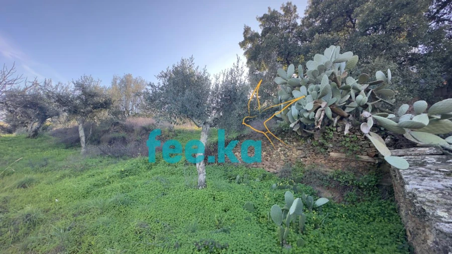 Terreno para Venda em Cebolais de Cima e Retaxo Foto 4