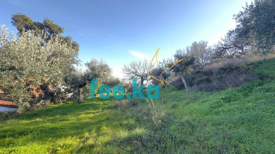 Terreno para Venda em Cebolais de Cima e Retaxo Foto 5