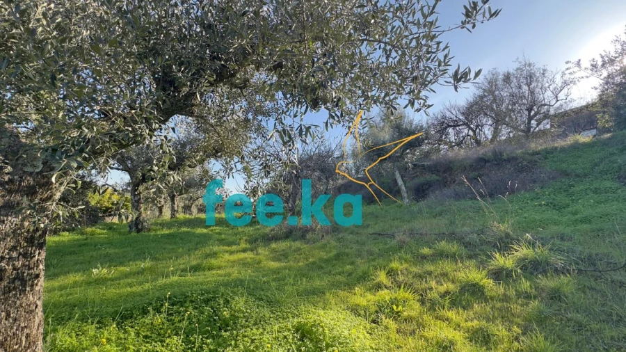 Terreno para Venda em Cebolais de Cima e Retaxo Foto 6