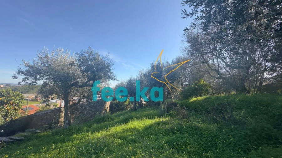 Terreno para Venda em Cebolais de Cima e Retaxo Foto 9