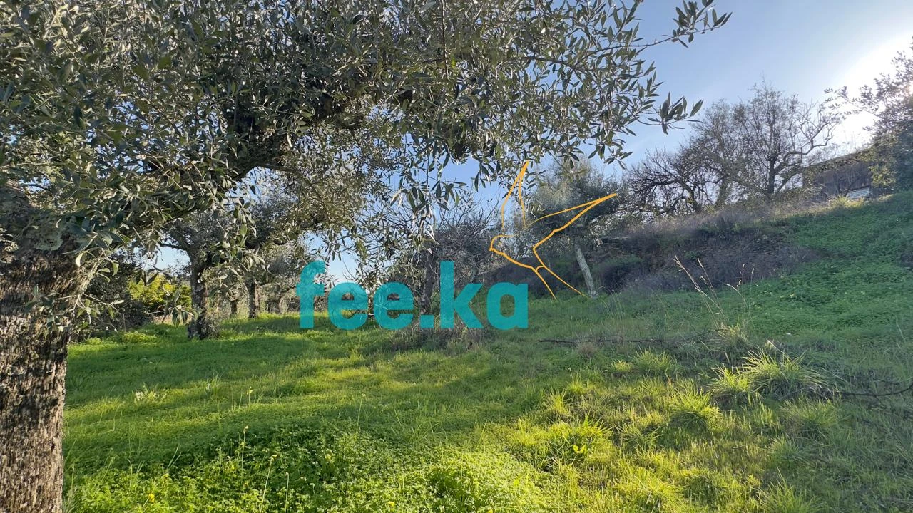 Terreno para Venda em Cebolais de Cima e Retaxo Foto 6