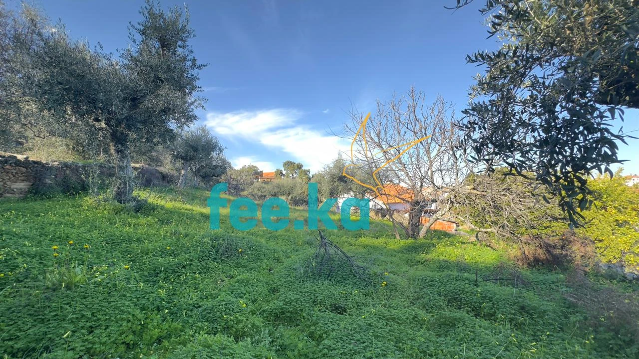 Terreno para Venda em Cebolais de Cima e Retaxo Foto 11