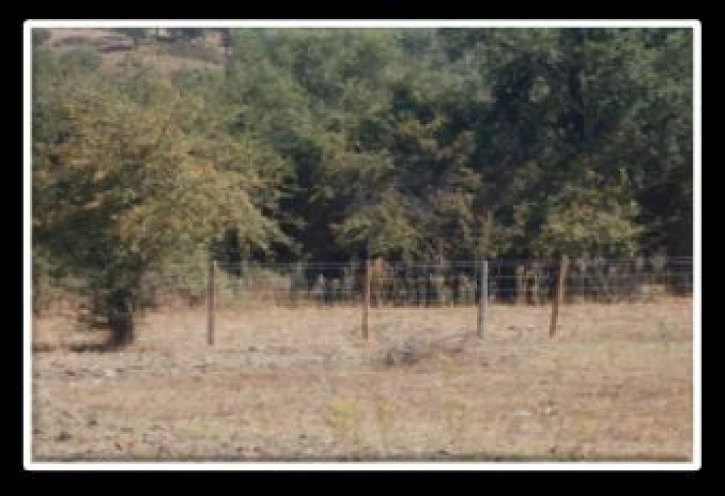 Terreno P/ Prédio para Venda em Urra Foto 5