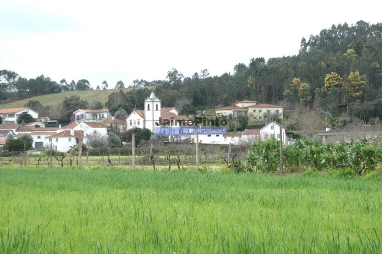 Terreno P/ Prédio para Venda em Semide e Rio Vide Foto 2