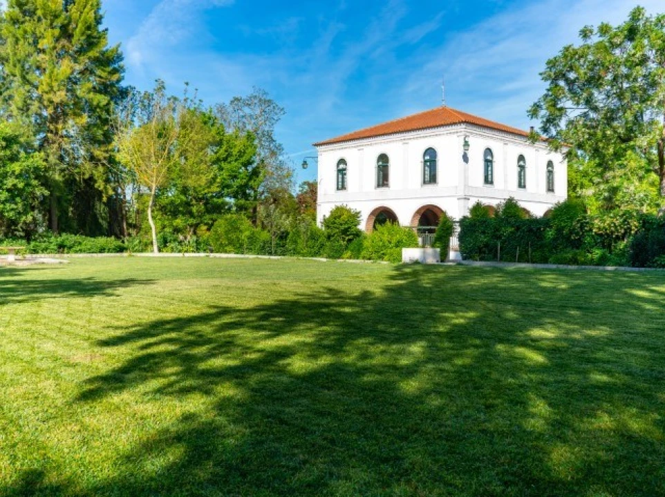 Quinta T6 para Venda em Ferreira do Alentejo e Canhestros Foto 3