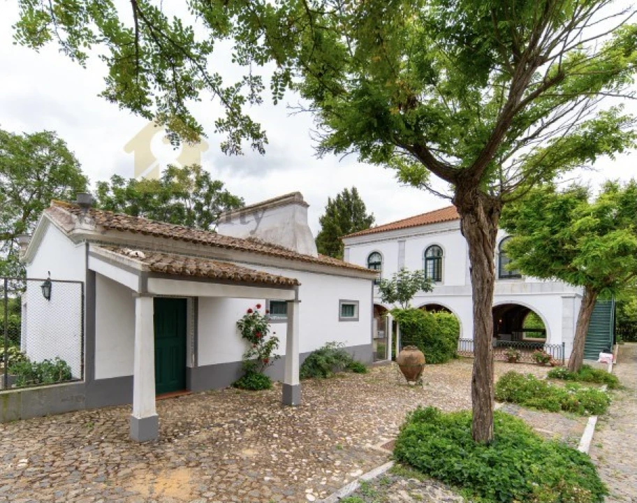 Quinta T6 para Venda em Ferreira do Alentejo e Canhestros Foto 5