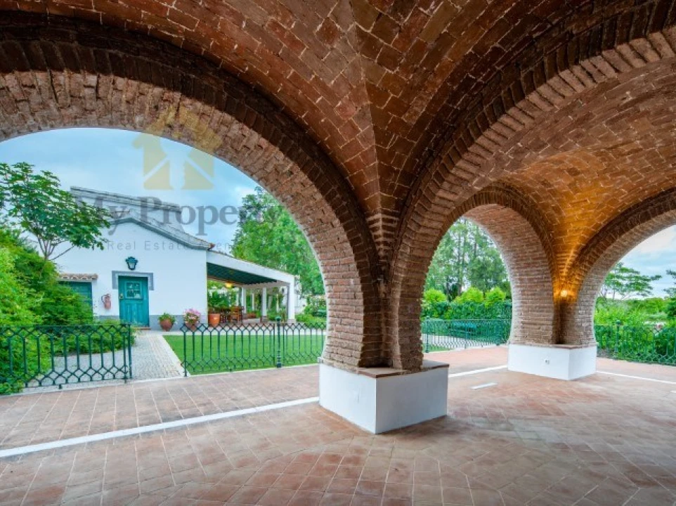 Quinta T6 para Venda em Ferreira do Alentejo e Canhestros Foto 21