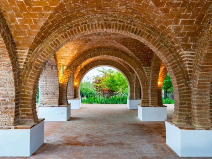 Quinta T6 para Venda em Ferreira do Alentejo e Canhestros Foto 20