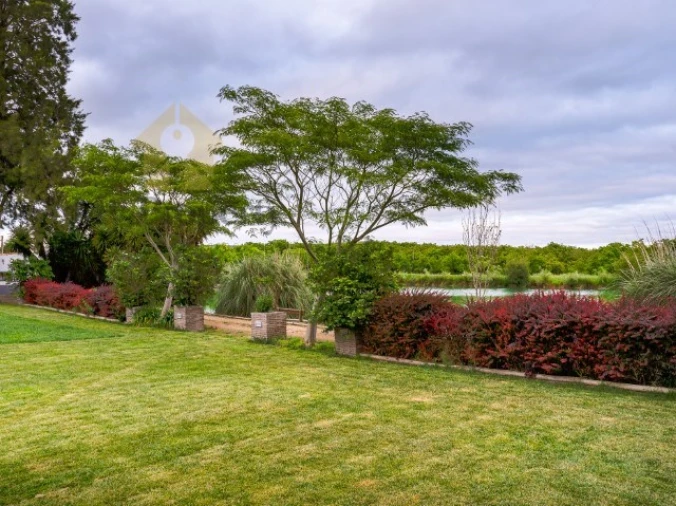 Quinta T6 para Venda em Ferreira do Alentejo e Canhestros Foto 23