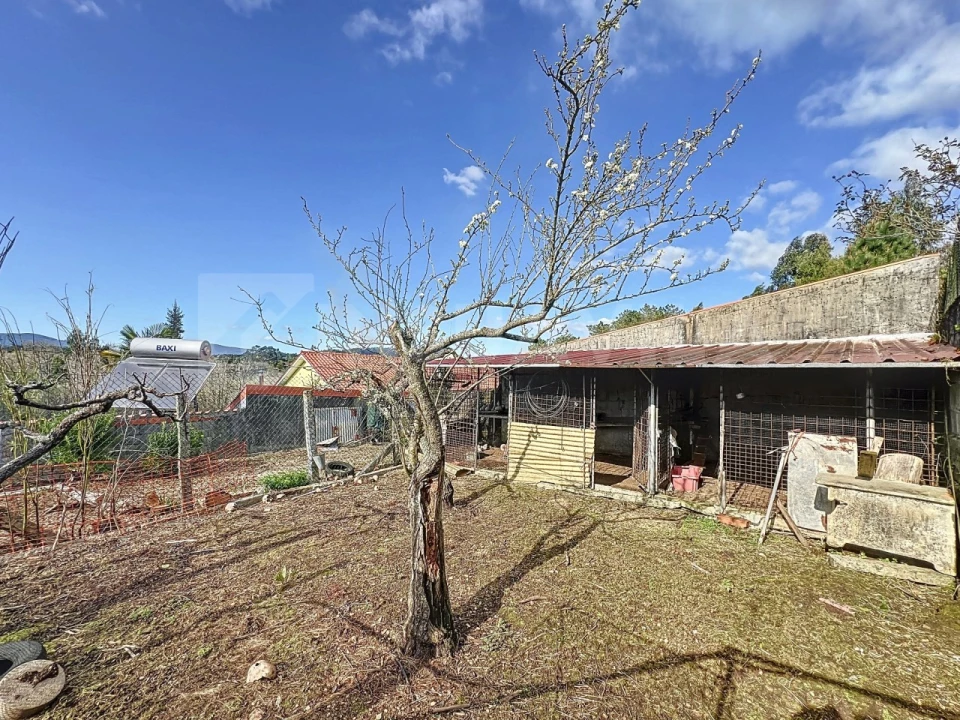 Moradia T3 para Venda em Venade e Azevedo Foto 17