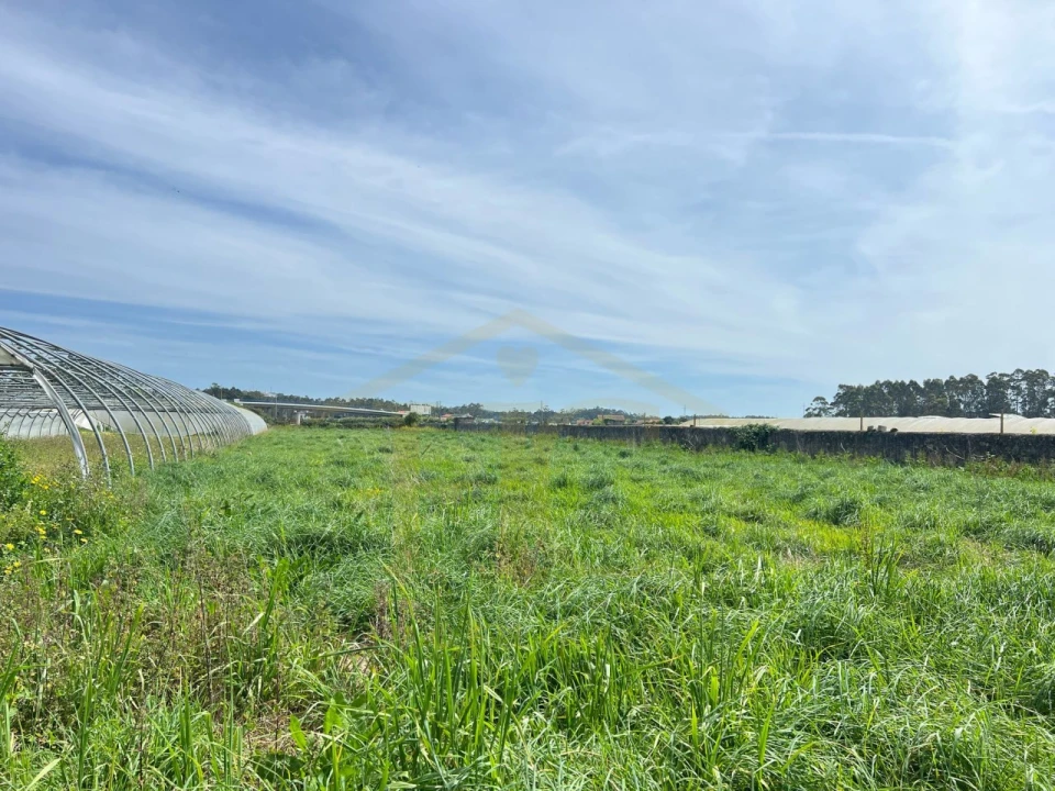 Terreno Agricola ou Rústico para Venda em Aguçadoura e Navais Foto 2