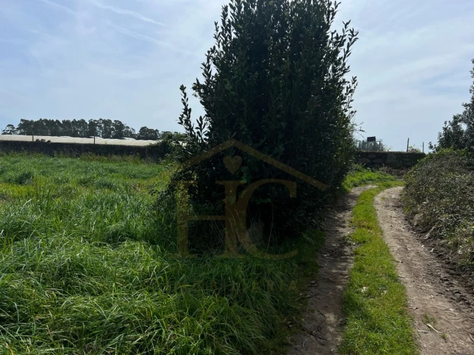 Terreno Agricola ou Rústico para Venda em Aguçadoura e Navais Foto 3