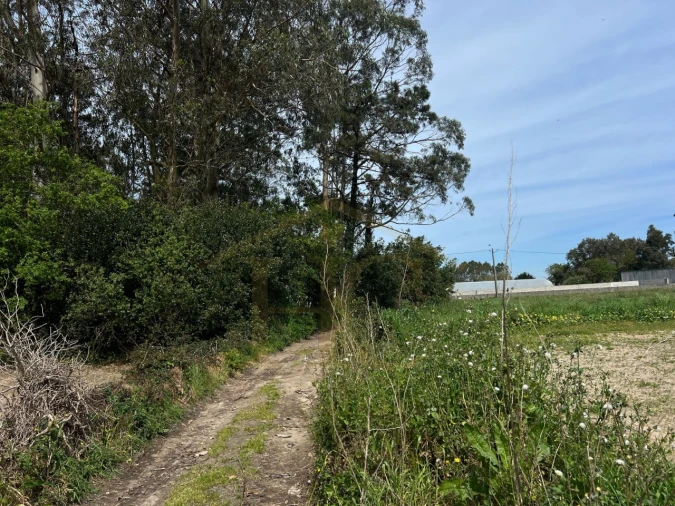 Terreno Agricola ou Rústico para Venda em Aguçadoura e Navais