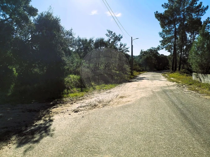 Terreno para Venda em Carregueira Foto 13