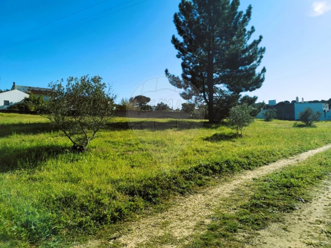 Terreno para Venda em Carregueira Foto 8