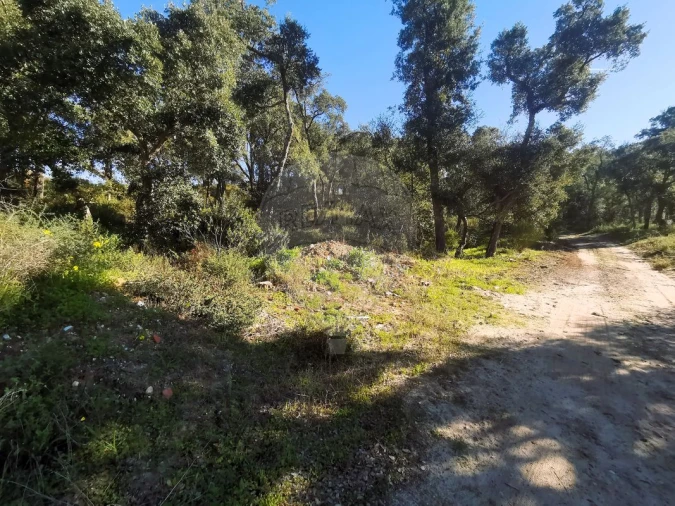 Terreno para Venda em Carregueira Foto 15