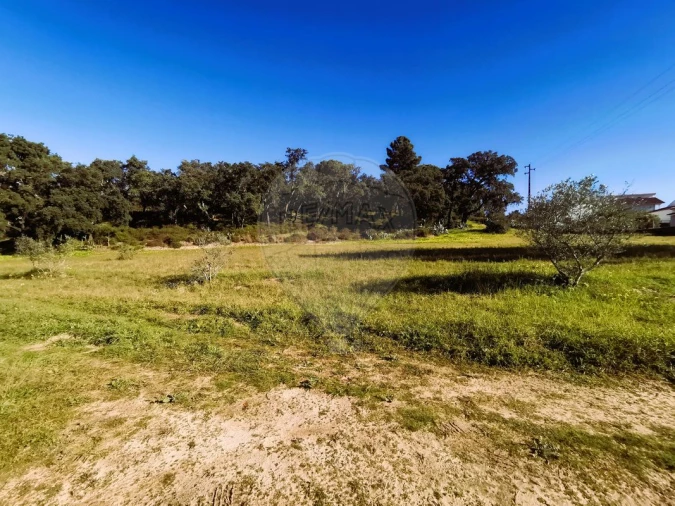 Terreno para Venda em Carregueira Foto 4