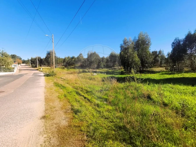 Terreno para Venda em Carregueira Foto 9