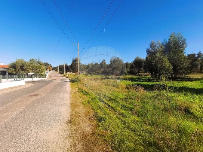 Terreno para Venda em Carregueira Foto 10