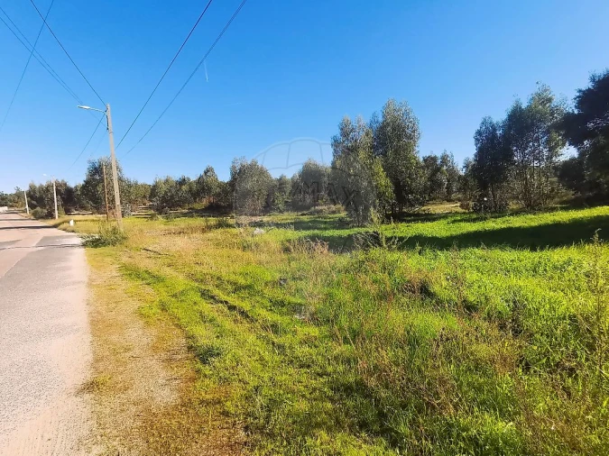 Terreno para Venda em Carregueira Foto 11
