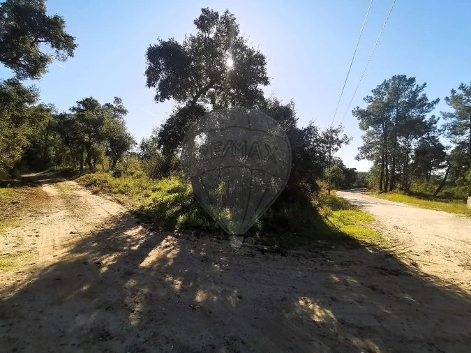 Terreno para Venda em Carregueira Foto 16