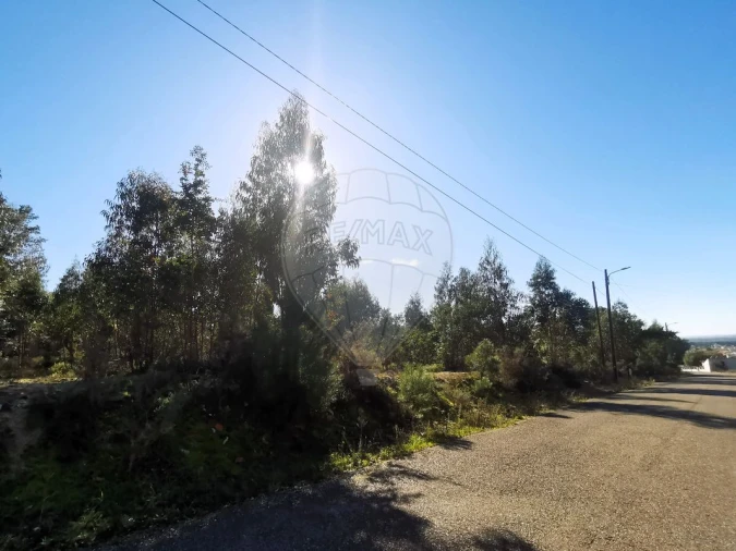 Terreno para Venda em Carregueira Foto 20